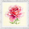 Пример оформления вышитой работы в рамку Розовая роза Набор для вышивания Чудесная игла 150-002