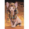  Кот фараона Раскраска картина по номерам на холсте Z-AB75