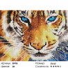 Количество цветов и сложность Голубоглазый тигр Алмазная мозаика вышивка на подрамнике Painting Diamond EF496