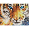  Голубоглазый тигр Алмазная мозаика вышивка на подрамнике Painting Diamond EF496