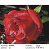 Количество цветов и сложность Отражение розы Алмазная мозаика вышивка на подрамнике Painting Diamond GF3269