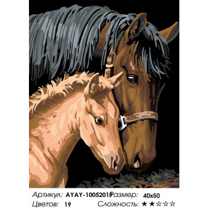  Лошадь с жеребенком Раскраска картина по номерам на холсте AYAY-10052019