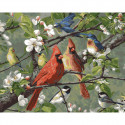 Певчие птицы Songbirds Раскраска картина по номерам Plaid