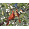 Певчие птицы Songbirds Раскраска картина по номерам Plaid