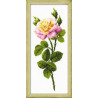 В рамке Дивный цветок Набор для вышивания Риолис 1331
