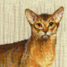3_2 Абиссинские кошки Набор для вышивания Риолис