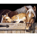 Лошадь, жеребенок и рыжий кот Алмазная вышивка мозаика Алмазное Хобби