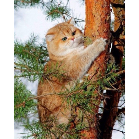 Кот на дереве Алмазная вышивка мозаика Алмазное Хобби
