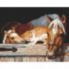 Лошадь, жеребенок и рыжий кот Алмазная вышивка мозаика Алмазное Хобби