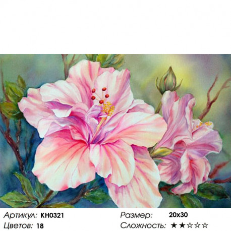 Количество цветов и сложность Красивый цветок Раскраска по номерам на холсте Molly KH0321
