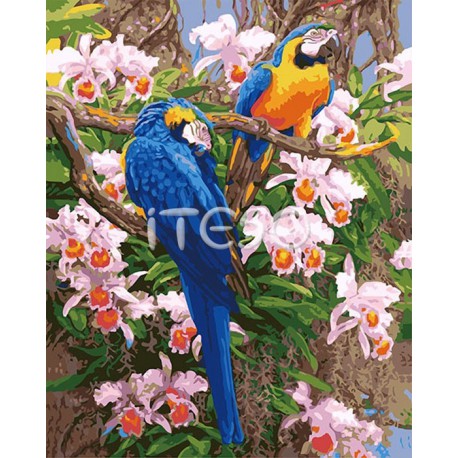 Бразильские попугаи Раскраска (картина) по номерам акриловыми красками на холсте Iteso