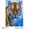 Количество цветов и сложность Глаза тигра Раскраска по номерам на холсте Molly KH0327