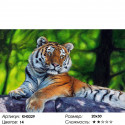 Амурский тигр Раскраска по номерам на холсте Molly