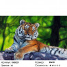 Количество цветов и сложность Амурский тигр Раскраска по номерам на холсте Molly KH0329