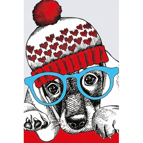  Модный пёс Раскраска картина по номерам MC1079