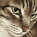 Загадочный кот Алмазная вышивка мозаика Гранни