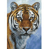 Раскладка Спокойствие тигра AG2311