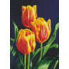 Раскладка Тюльпанов цвет AG2312