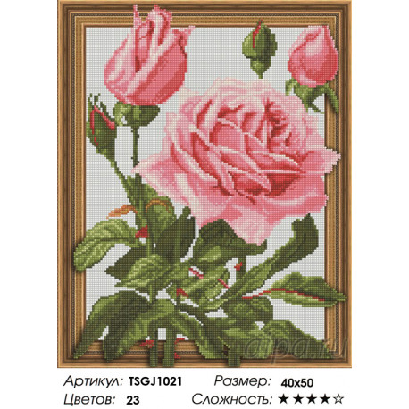 Количество цветов и сложность Розовые розы Алмазная вышивка мозаика на подрамнике 3D TSGJ1021