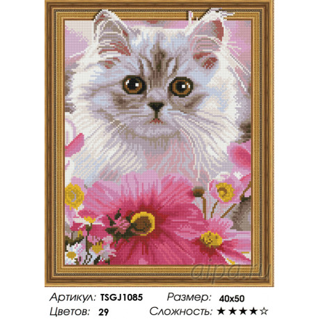 Количество цветов и сложность Белый кот Алмазная вышивка мозаика на подрамнике 3D TSGJ1085