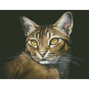  Абиссинская кошка Алмазная мозаика вышивка Паутинка М-354