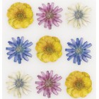 Цветы Tim Coffey Стикеры для скрапбукинга, кардмейкинга K&Company