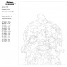 схема Бетти Раскраска по номерам на холсте Живопись по номерам