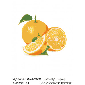 Количество цветов и сложность Сочный апельсин Раскраска по номерам на холсте Живопись по номерам KTMK-25626