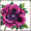 Пурпурный мак Набор для вышивания Bothy Threads