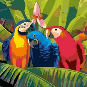 Раскладка Семейка попугаев Раскраска картина по номерам на холсте A93
