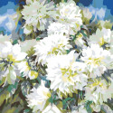 Хризантемы Раскраска картина по номерам на холсте