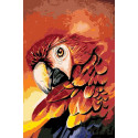 Огненный попугай Раскраска картина по номерам на холсте