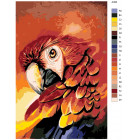 Раскладка Огненный попугай Раскраска картина по номерам на холсте A358