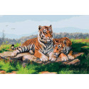 Пара тигров Раскраска картина по номерам на холсте