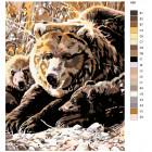 Раскладка Семья медведей Раскраска картина по номерам на холсте A68