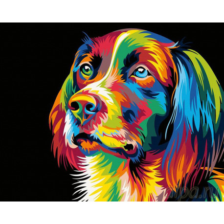  Радужный пес Раскраска картина по номерам на холсте PA07