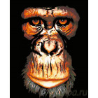 Портрет обезьяны Раскраска картина по номерам на холсте A179