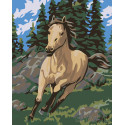 Бегущий конь Раскраска картина по номерам на холсте