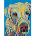 Разноцветный пес Раскраска картина по номерам на холсте