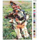Раскладка Овчарка Раскраска картина по номерам на холсте RA018