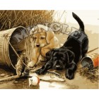 Любопытные щенки Раскраска по номерам акриловыми красками на холсте Menglei