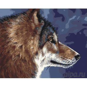  Волк Раскраска картина по номерам на холсте RA44
