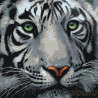  Мудрый тигр Раскраска по номерам на холсте Живопись по номерам A373