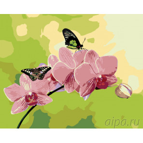 Схема Розовые орхидеи Раскраска по номерам на холсте Живопись по номерам ARTH-AH243