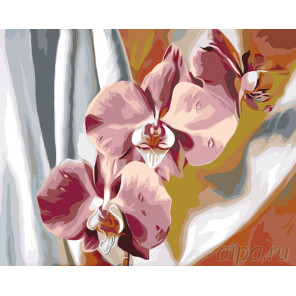 Схема Шелковые орхидеи Раскраска по номерам на холсте Живопись по номерам F47