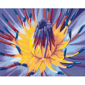 Схема Сердце цветка Раскраска по номерам на холсте Живопись по номерам F50