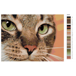 Раскладка Хищный кот Раскраска по номерам на холсте Живопись по номерам Z-Z3579