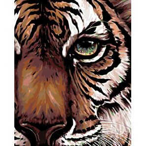 Раскладка Глаз тигра Раскраска картина по номерам на холсте A415