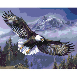  Парящий орлан Раскраска картина по номерам на холсте KTMK-60370