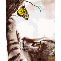 Любопытный котенок с бабочкой Раскраска картина по номерам на холсте